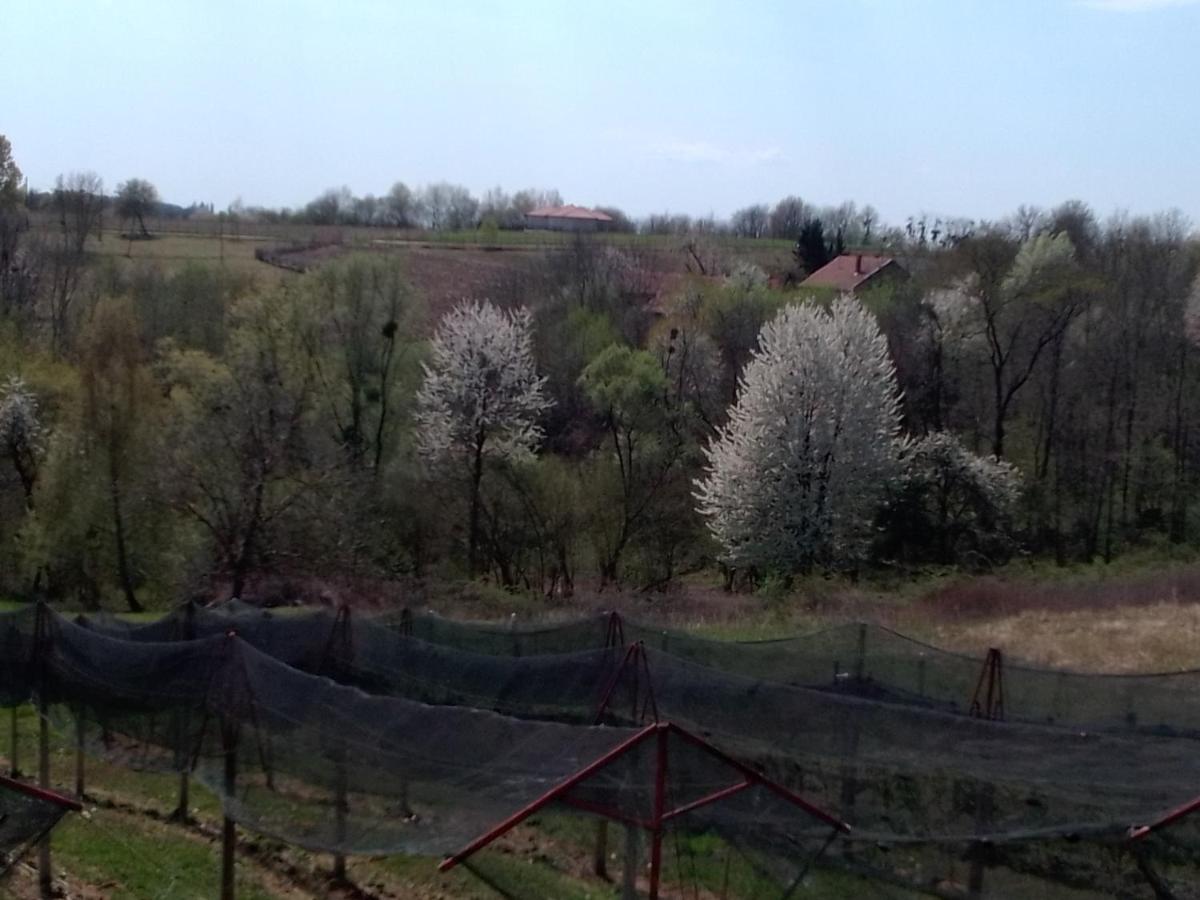 Studio apartman Šafarić Apartment Sveti Martin Na Muri Exterior foto